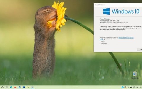 Win10 2020年5月更新发布到MSDN 版本号为19041.208