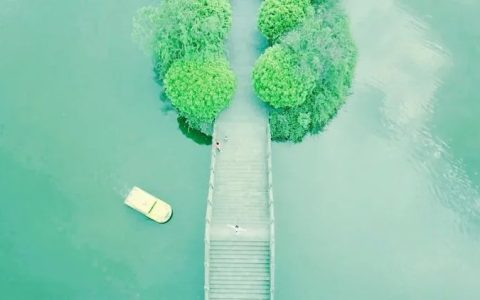 低收入人群不宜炒股？99%的人最适定投指数基金