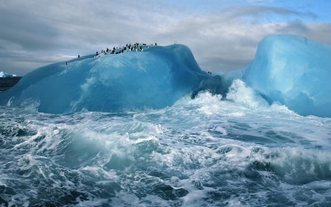 为什么说通胀无牛市 通胀无牛市背后的逻辑