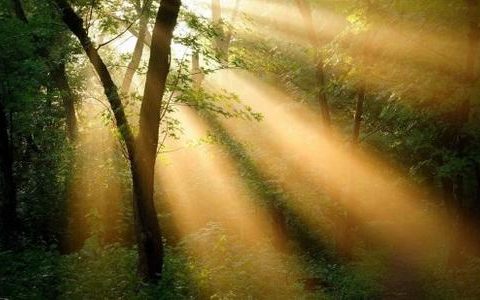 决定一只股票可不可以买 最重要的是关注企业本身