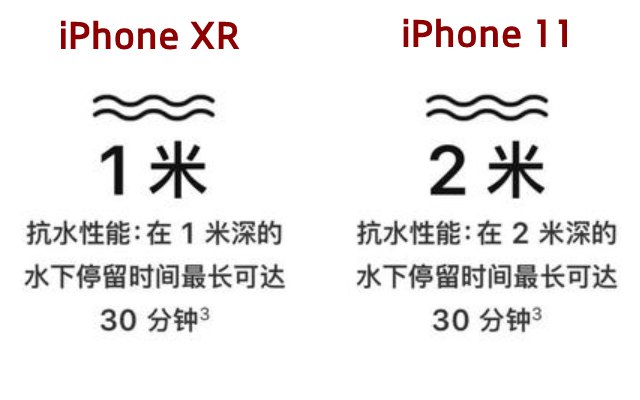 iPhone 11和XR哪个好 苹果11和XR区别对比 差价700详解