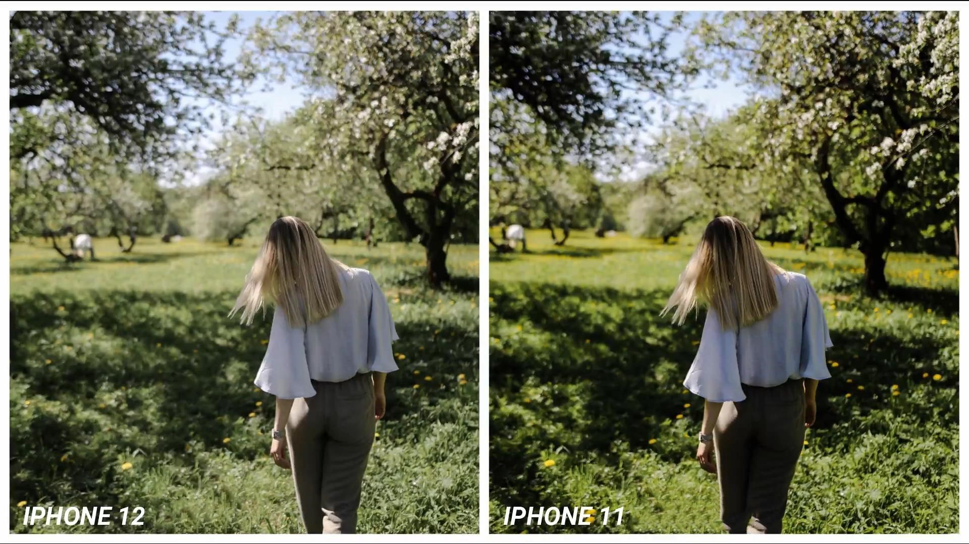 iPhone 12和11哪个好？苹果iPhone 12和iPhone 11区别对比