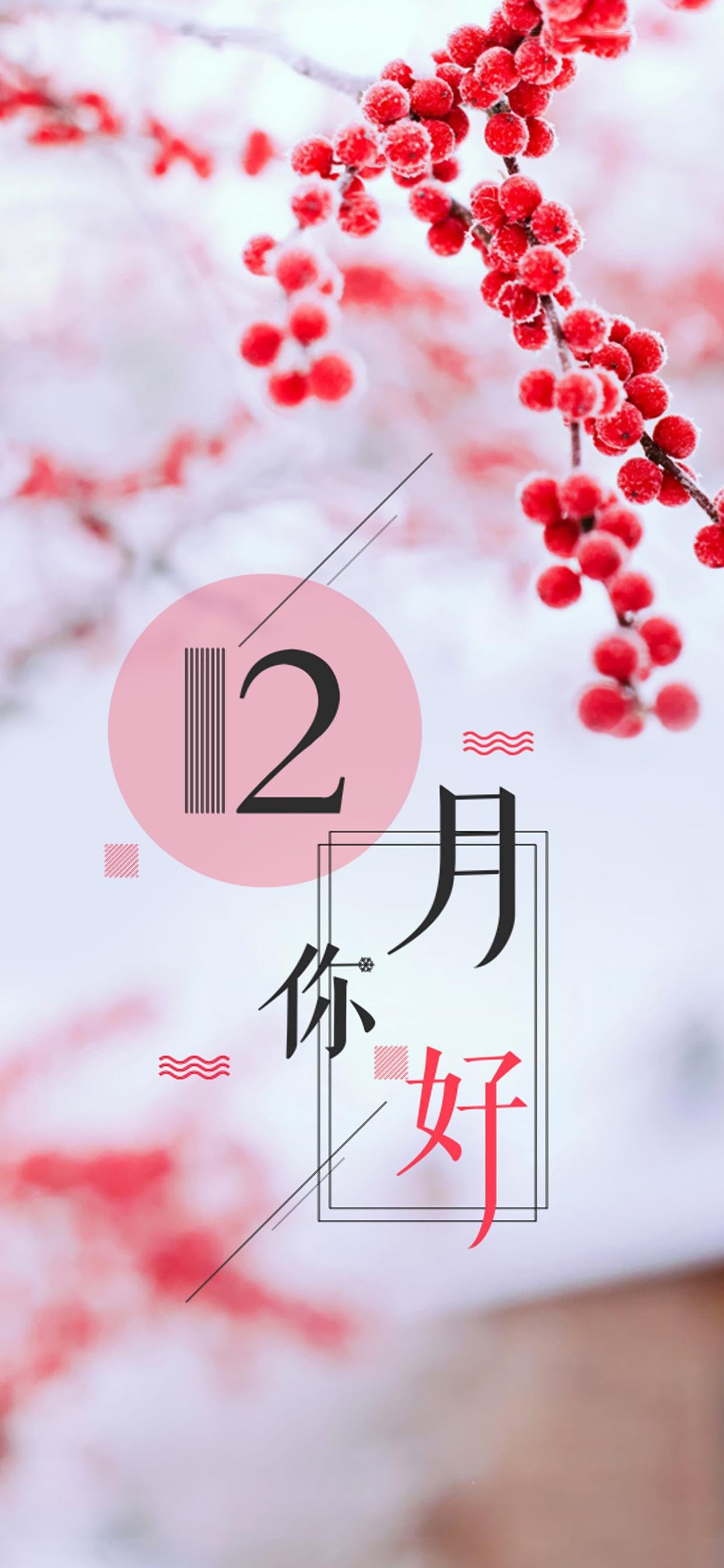 12月手机壁纸全屏图片