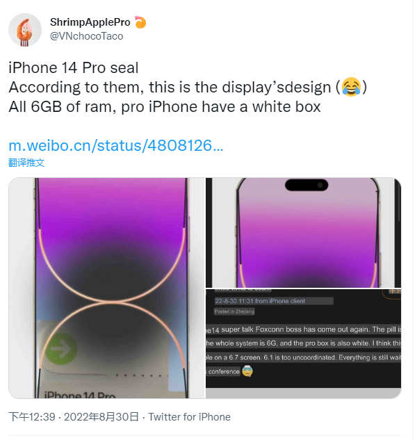 iPhone 14 Pro封装贴纸曝光：全系6GB内存