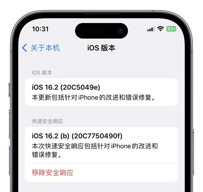 iOS16快速安全响应更新是什么？iOS16.2快速安全响应更新一览