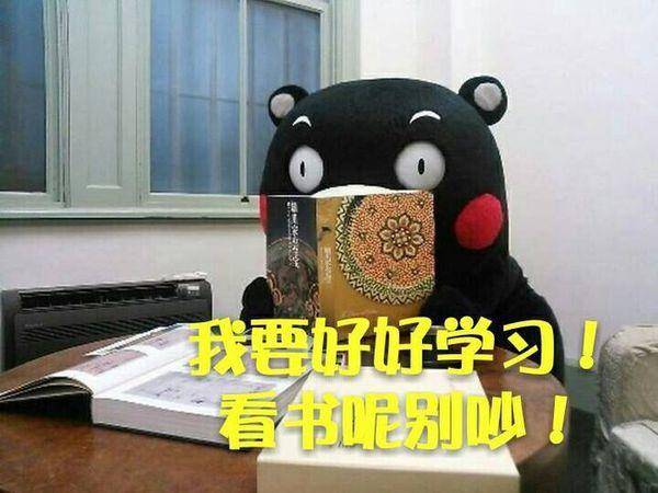 微信励志学习表情包下载 ​学到发光、学到秃顶！