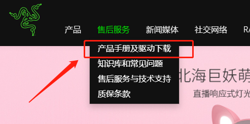 雷蛇鼠标驱动英文怎么变中文？雷蛇鼠标驱动安装设置中文方法