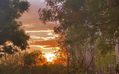 朋友圈动态背景图 微信朋友圈唯美夕阳视频封面下载