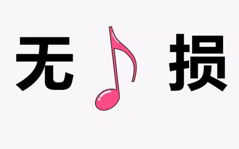 音乐时刻APP下载，完美替代歌词适配