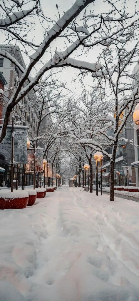 冬日锁屏壁纸，一组适合冬天使用的雪景手机壁纸