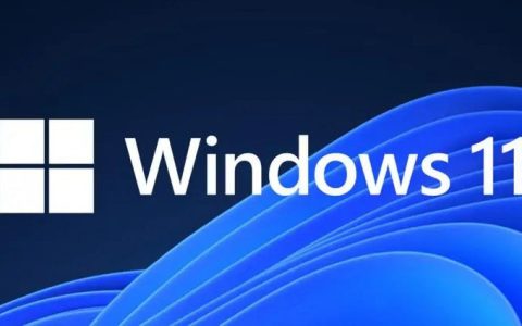 Win11不锁屏怎么设置？Win11设置不锁屏不休眠图文教程