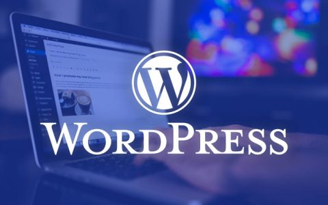 WordPress文章固定链接去掉父级或子分类目录方法